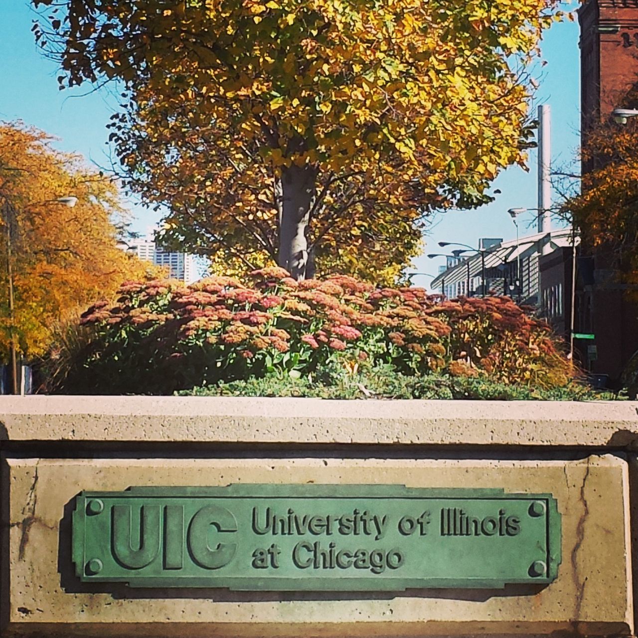 tree, text, communication, western script, building exterior, growth, autumn, yellow, built structure, architecture, sign, change, clear sky, road sign, information sign, day, branch, non-western script, outdoors, season