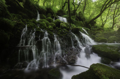 Scenic view of waterfall in forest