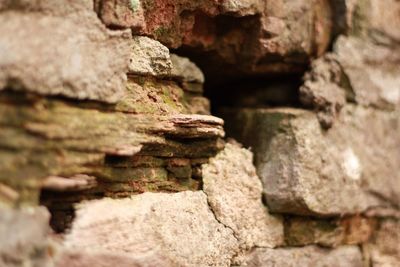 Close-up of rocks