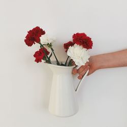 Close-up of red flower over white background