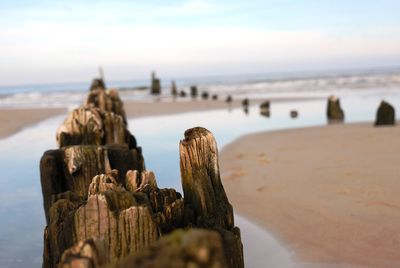 Close-up of wooden post at beach against sky