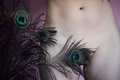 Close-up of peacock feathers