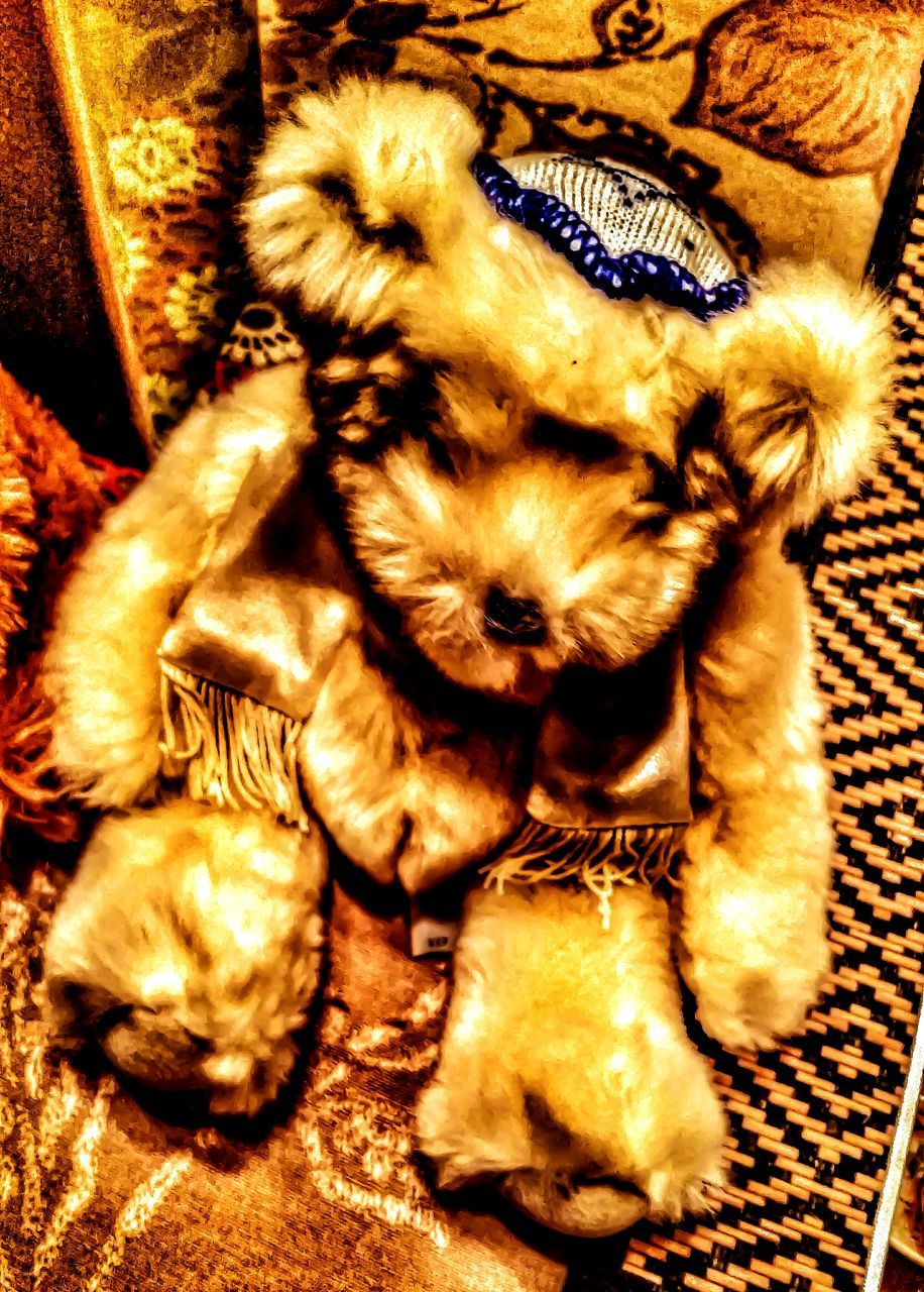 CLOSE-UP OF DOG RELAXING ON BLANKET