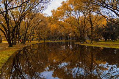 Reflection of trees in lake against sky during autumn