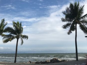 Palm trees on beach