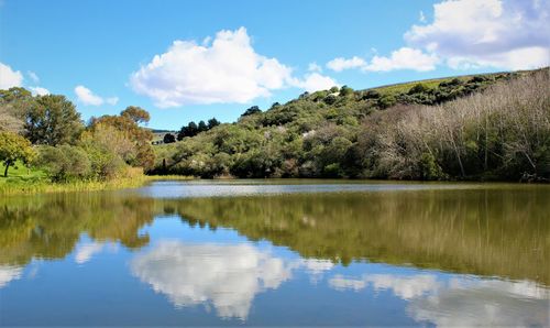 Scenic view of lake by trees against sky