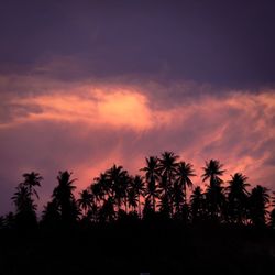 Silhouette trees against sky during sunset