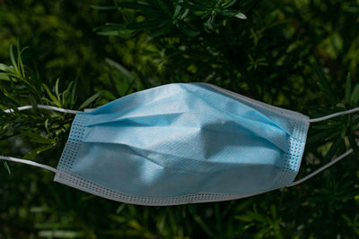 Close-up of blue umbrella on field