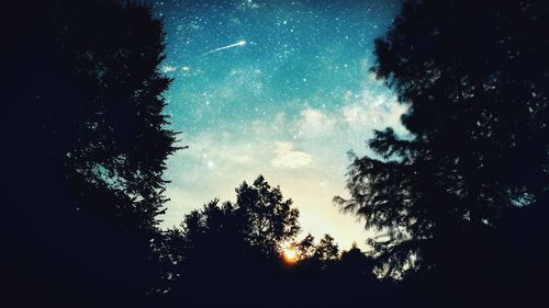 Low angle view of silhouette trees against sky at night
