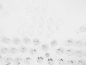High angle view of champagne flutes on table