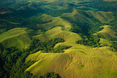 Scenic view of agricultural field