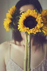 Close-up of sunflower