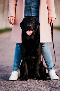 Low section of person with dog