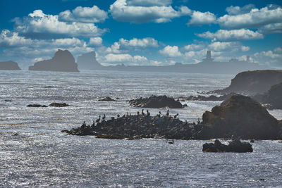 Scenic view of sea against sky