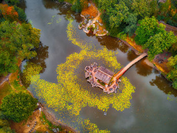 High angle view of plants by river during autumn