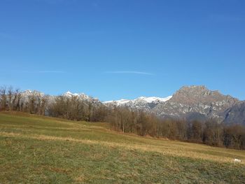 Scenic view of field against clear blue sky