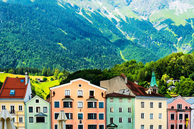 Houses and trees in city