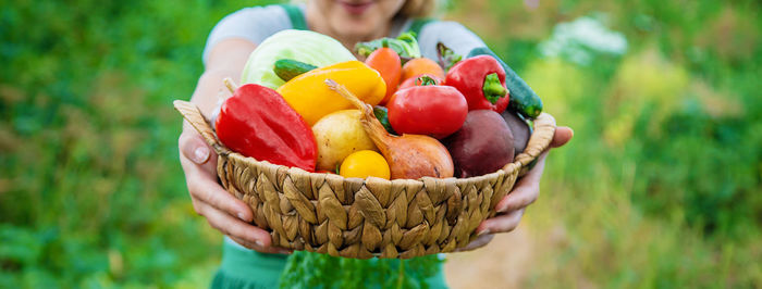 Close-up of fruits in basket