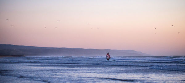 Silhouette birds flying over sea against clear sky