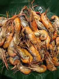 High angle view of fish for sale