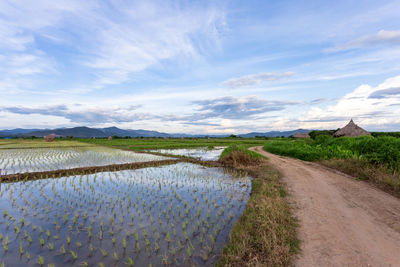 Road amidst field against sky