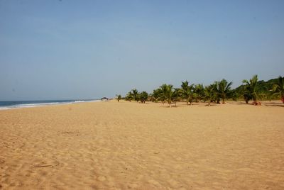 Scenic view of beach against clear sky