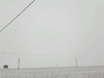 Trees in field