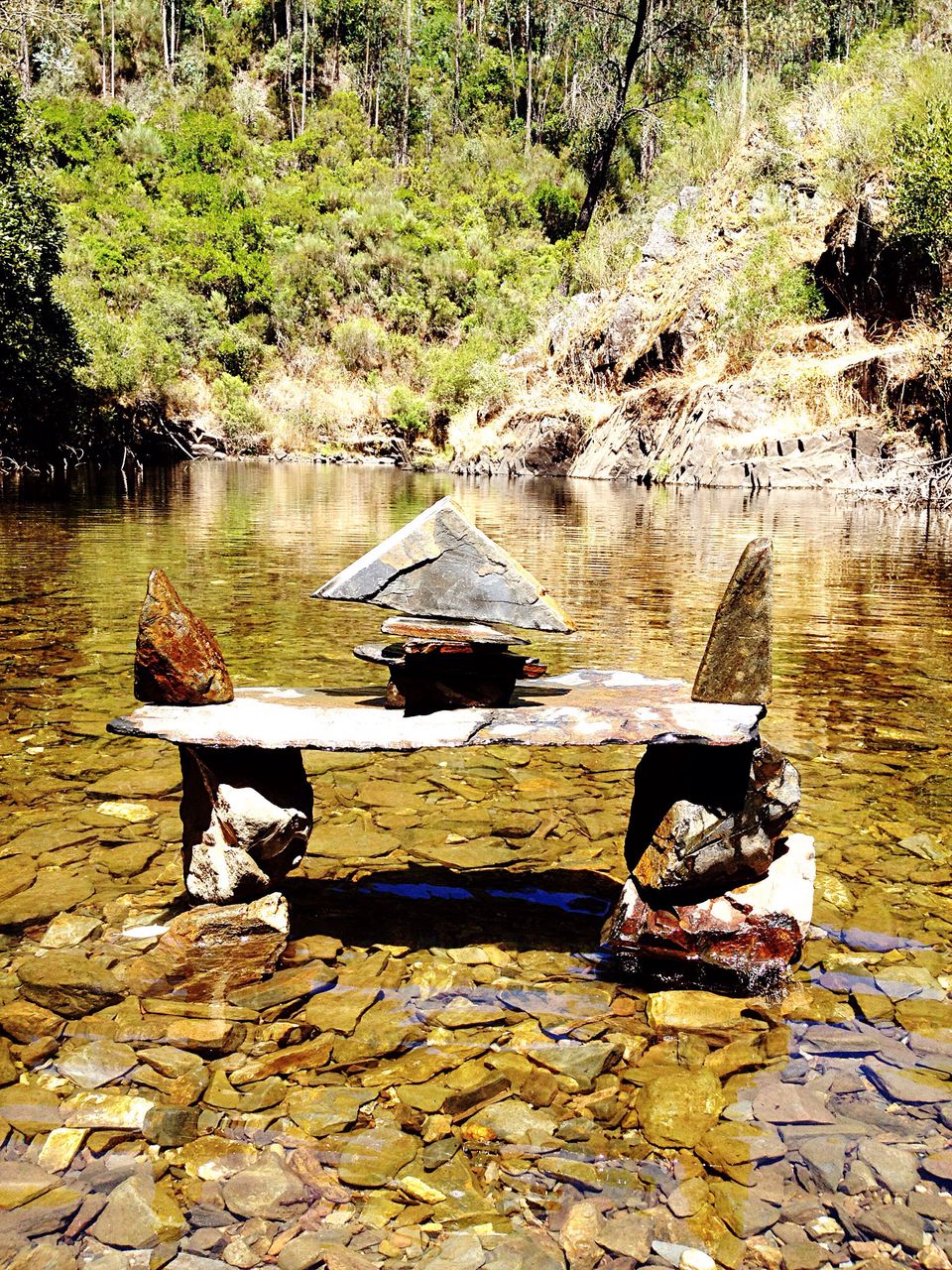 tree, sitting, tranquil scene, bench, tranquility, water, solitude, day, outdoors, nature, non-urban scene, riverbank, scenics, beauty in nature