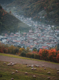 Trees and houses on field by mountain