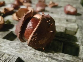 Close-up of apple on table