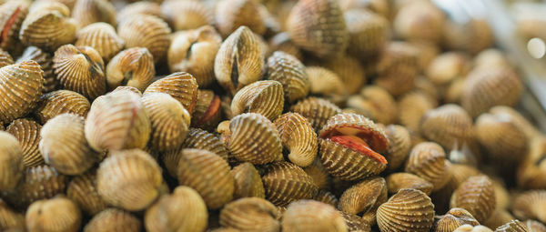 Close-up of seafood