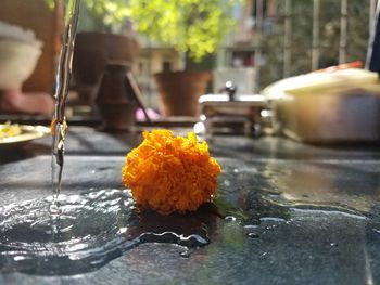 Close-up of wet orange rose on street