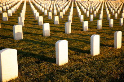 View of white cemetery