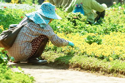 Full length of woman harvesting flowers