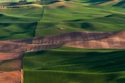 Aerial view of agricultural field at steptoe butte state park