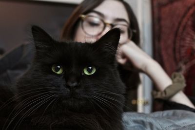 Close-up of black cat sitting at home