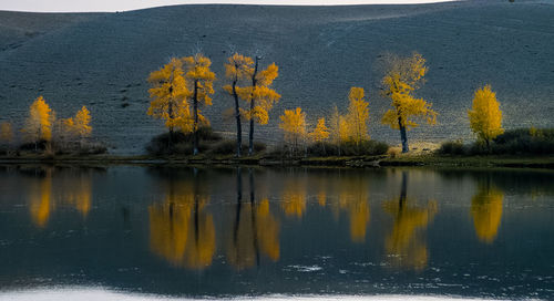 Scenic view of lake in forest during autumn