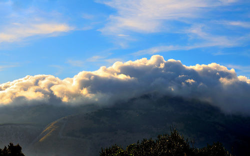 Low angle view of silhouette trees against sky