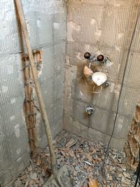 High angle view of sheep in bathroom