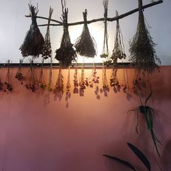 Clothes drying on clothesline against sky