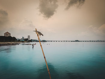 Seagulls flying over lake against sky