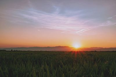 Scenic view of field against sky during sunset