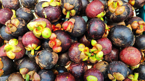 Full frame shot of mangosteen