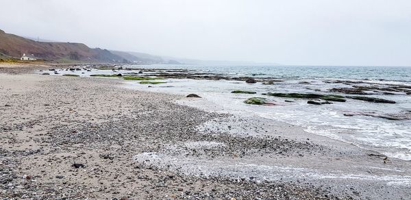 Scenic view of beach against clear sky