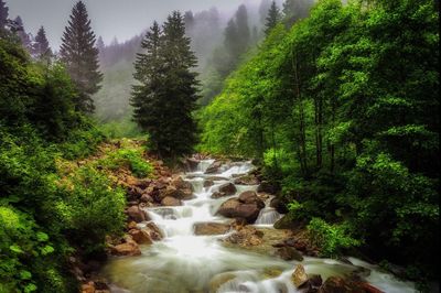 River flowing through rocks