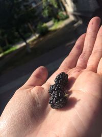 Close-up of hand holding fruit