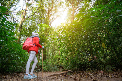 Low angle view of woman hiking in forest
