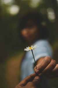 Close-up of woman hand holding flower