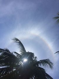 Low angle view of rainbow over trees against sky