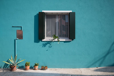 Potted plant on wall by swimming pool against building